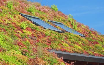 Monkton Farleigh living roof systems